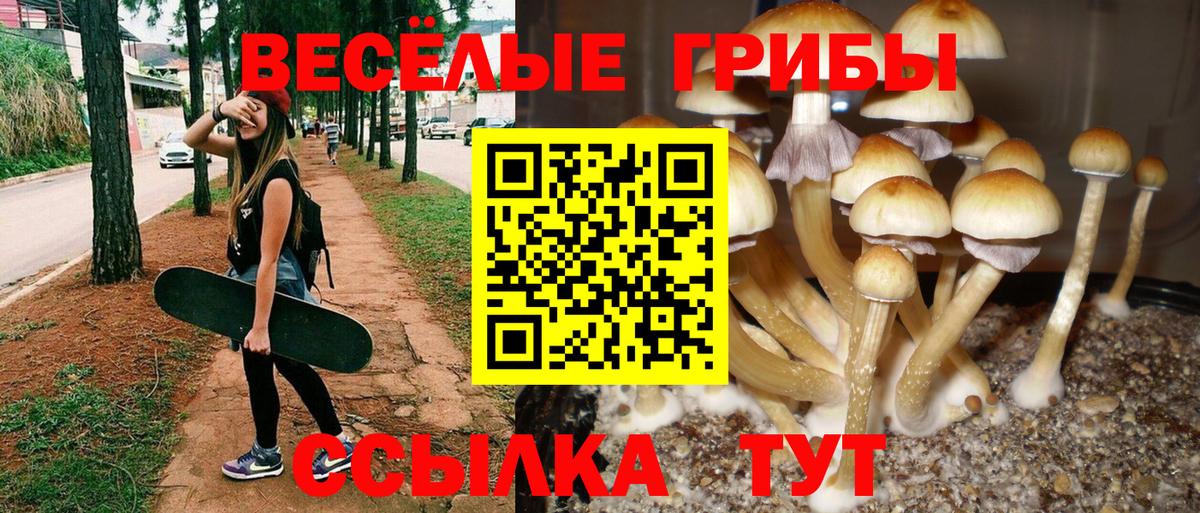 Шарыпово  Галлюциногенные грибы MAGIC MUSHROOMS  цена наркотик  Вход с VPN 